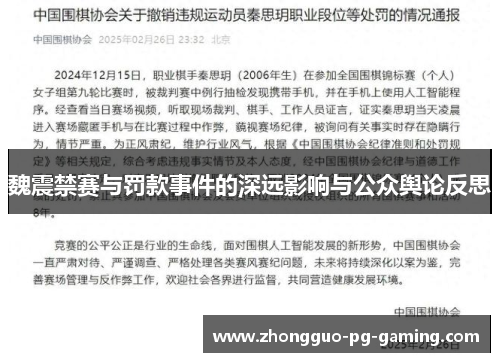 魏震禁赛与罚款事件的深远影响与公众舆论反思