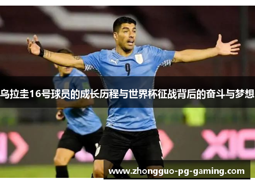 乌拉圭16号球员的成长历程与世界杯征战背后的奋斗与梦想
