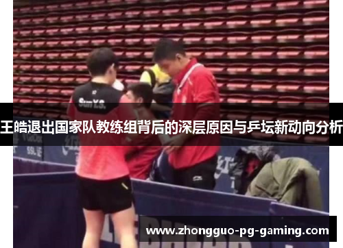 王皓退出国家队教练组背后的深层原因与乒坛新动向分析