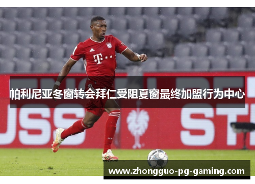 帕利尼亚冬窗转会拜仁受阻夏窗最终加盟行为中心 帕利尼亚冬窗转会拜仁受阻夏窗最终加盟行为中心