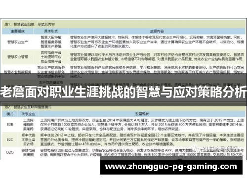 老詹面对职业生涯挑战的智慧与应对策略分析