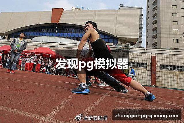发现pg模拟器